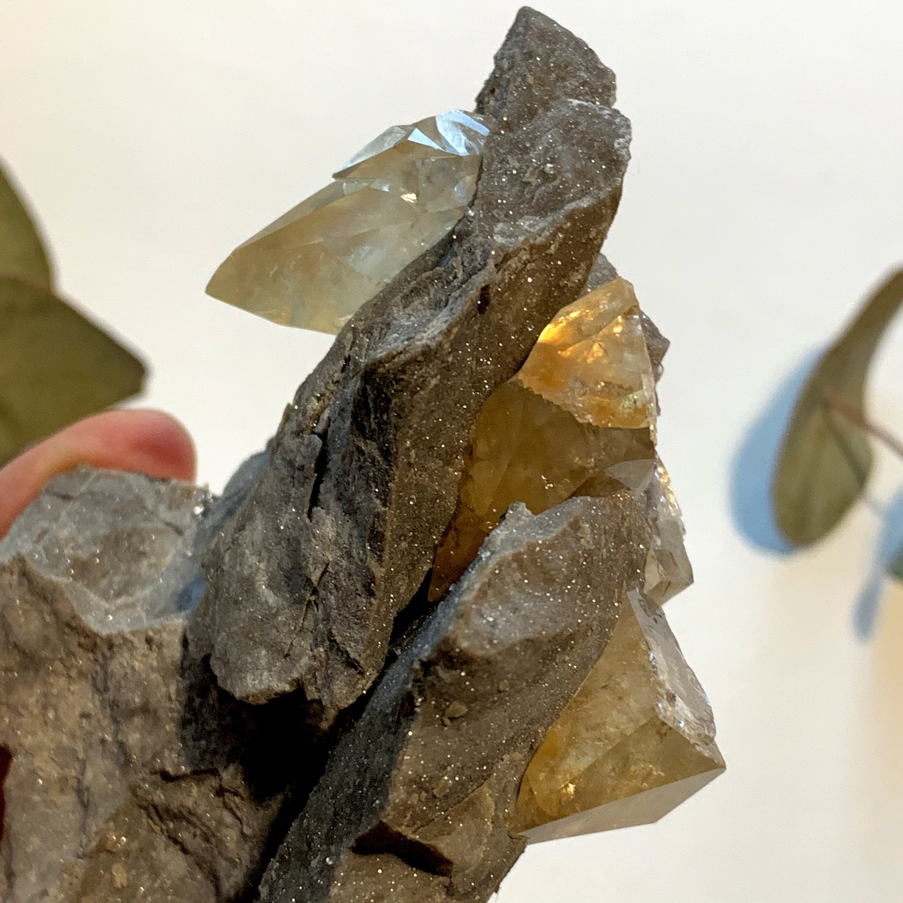 Famous Locality~Elmwood Mine Golden Stellar Beam Calcite Points nestled in Shimmering Chunky Rock Matrix - Earth Family Crystals