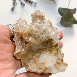 Arkansas Quartz Natural Cluster - Earth Family Crystals