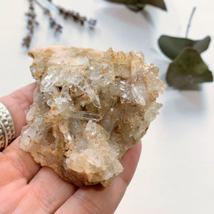 Arkansas Quartz Natural Cluster - Earth Family Crystals