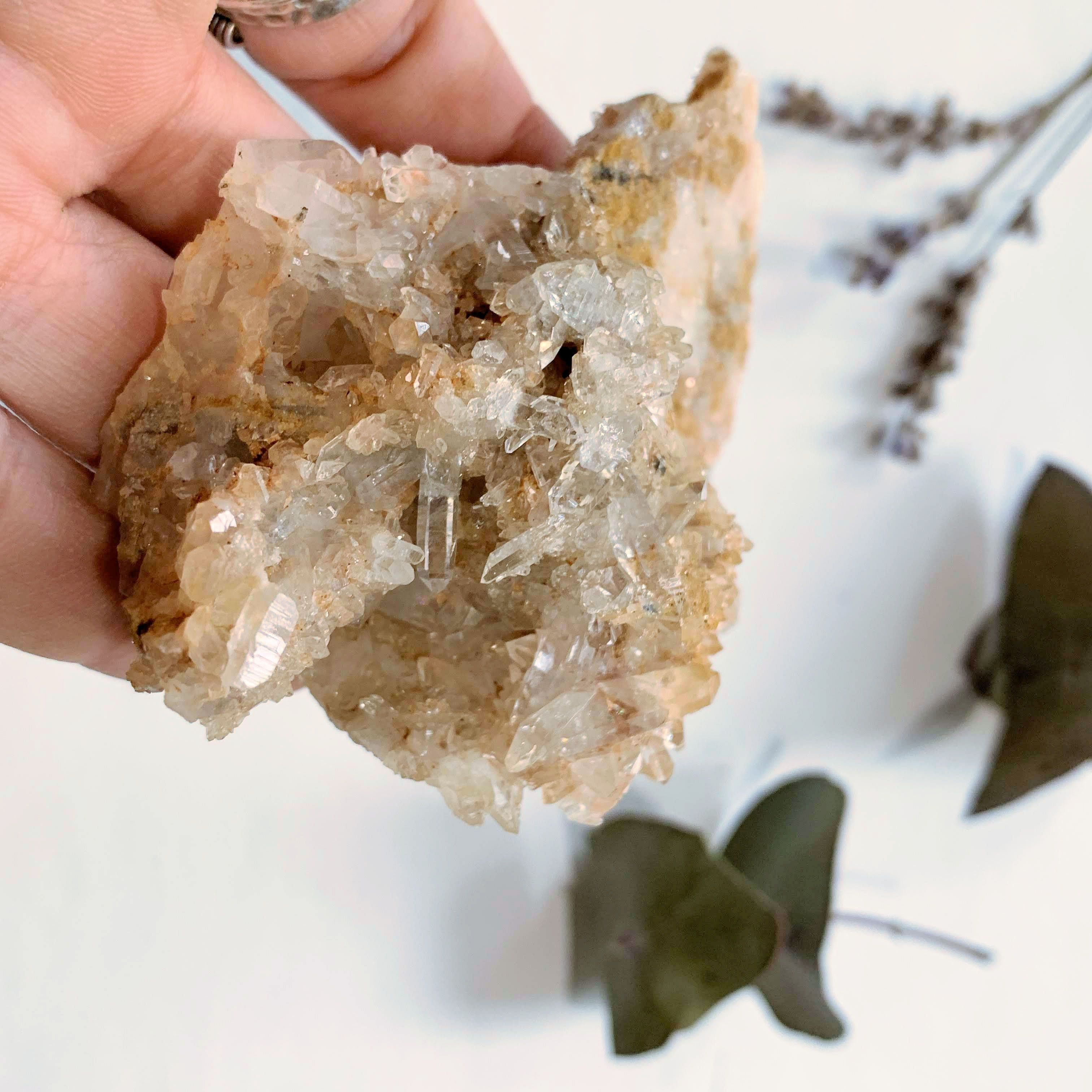 Arkansas Quartz Natural Cluster - Earth Family Crystals