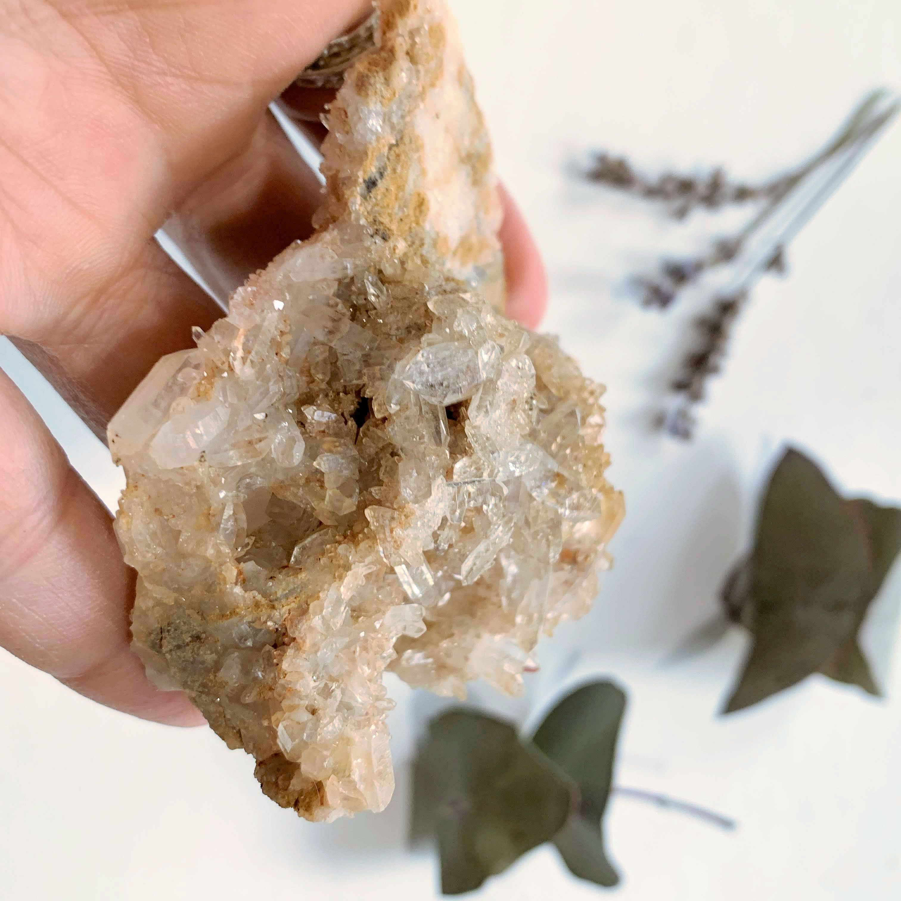 Arkansas Quartz Natural Cluster - Earth Family Crystals