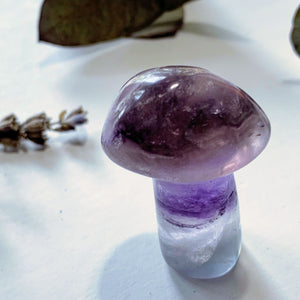 Adorable Rainbow Fluorite Mushroom Standing Display Carving - Earth Family Crystals