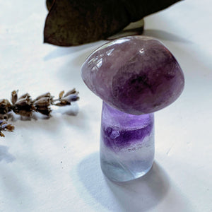 Adorable Rainbow Fluorite Mushroom Standing Display Carving - Earth Family Crystals