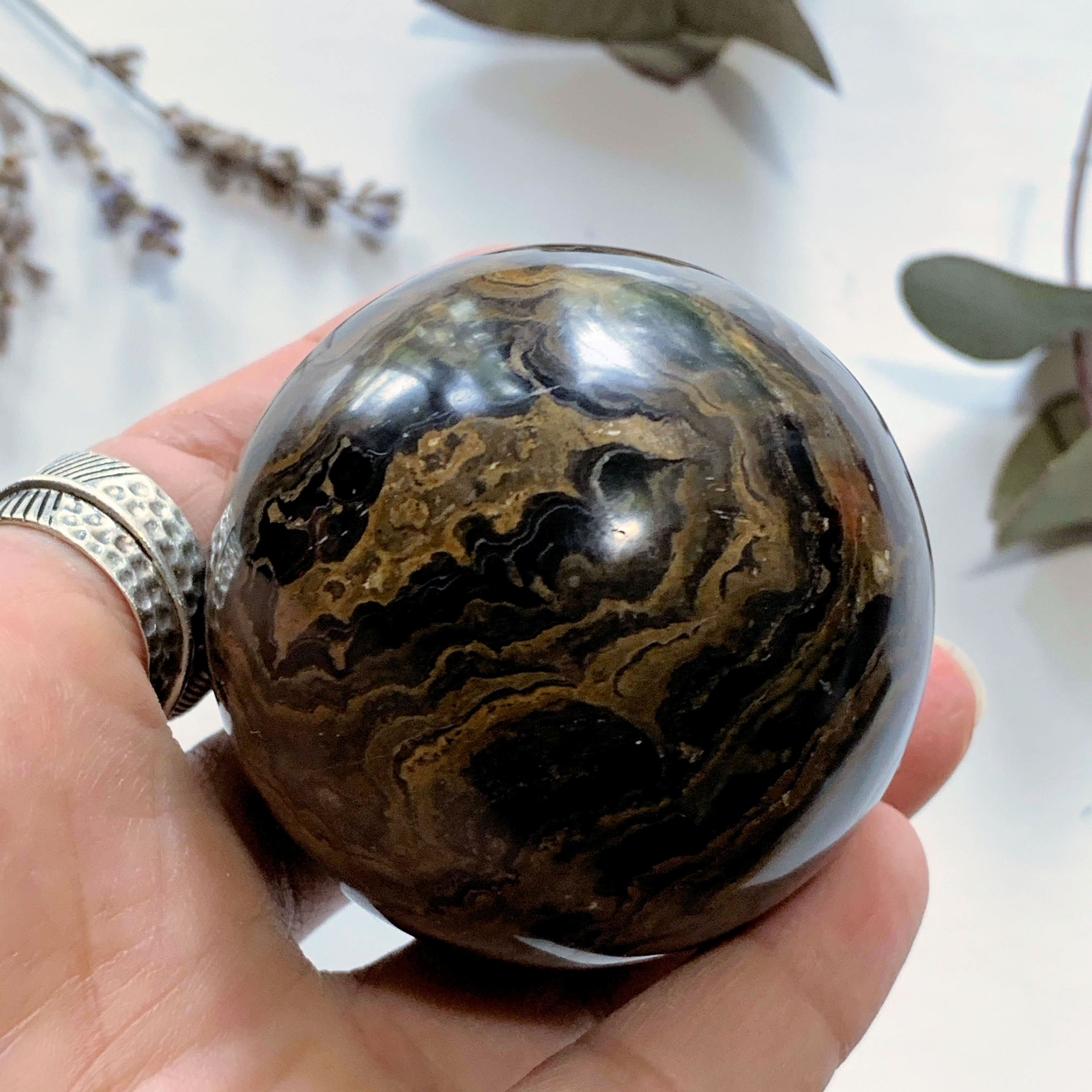 Fascinating Chocolate Brown Swirls Stromatolite Large Sphere - Earth Family Crystals