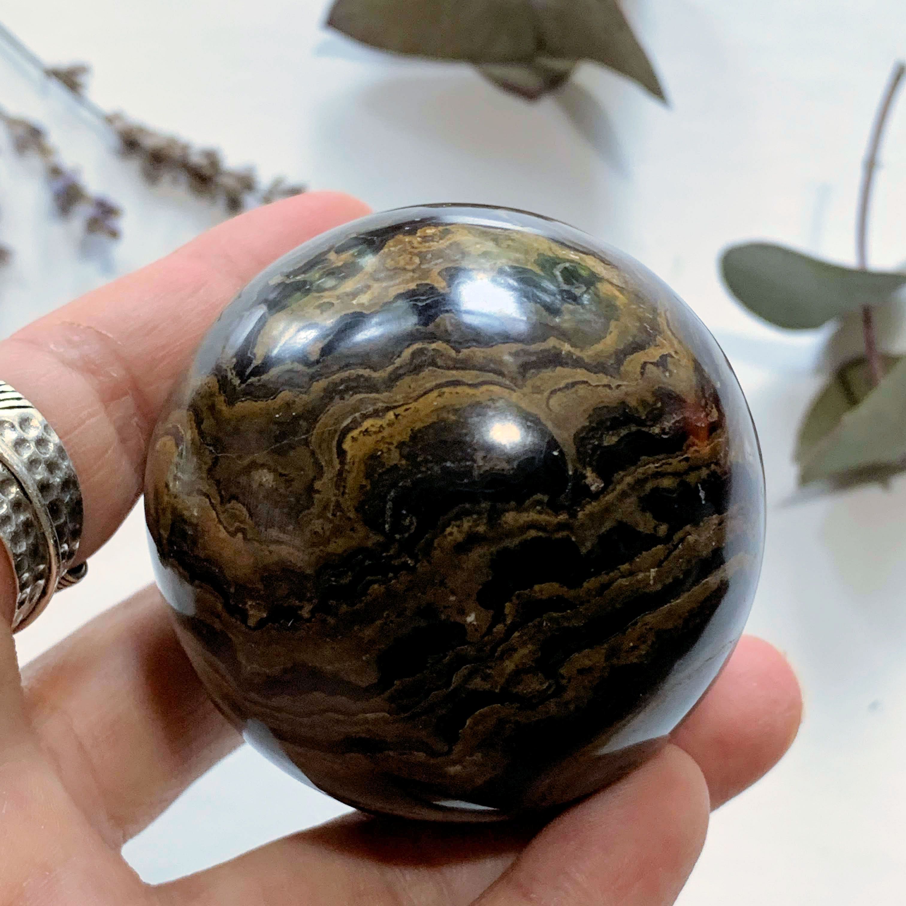 Fascinating Chocolate Brown Swirls Stromatolite Large Sphere - Earth Family Crystals