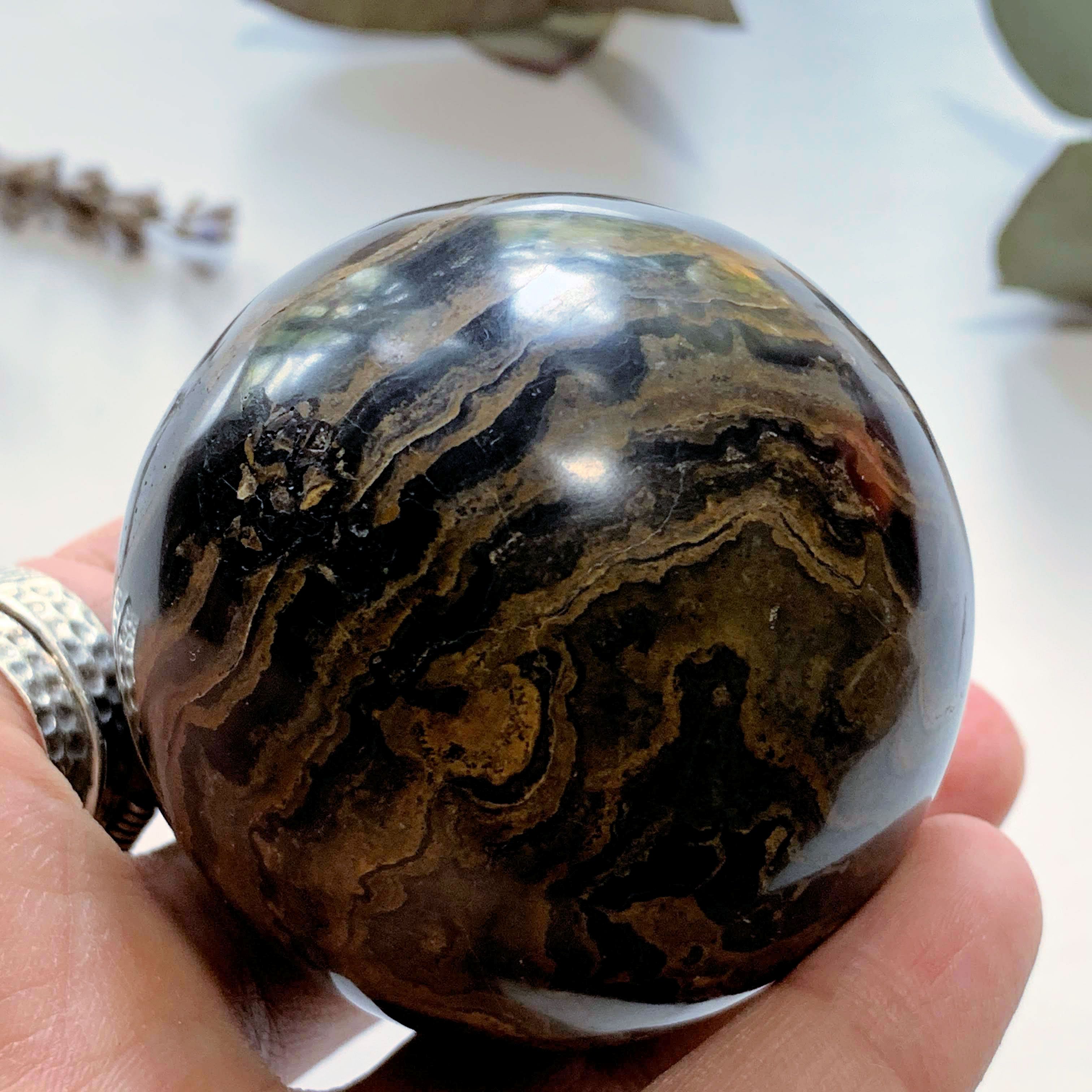 Fascinating Chocolate Brown Swirls Stromatolite Large Sphere - Earth Family Crystals