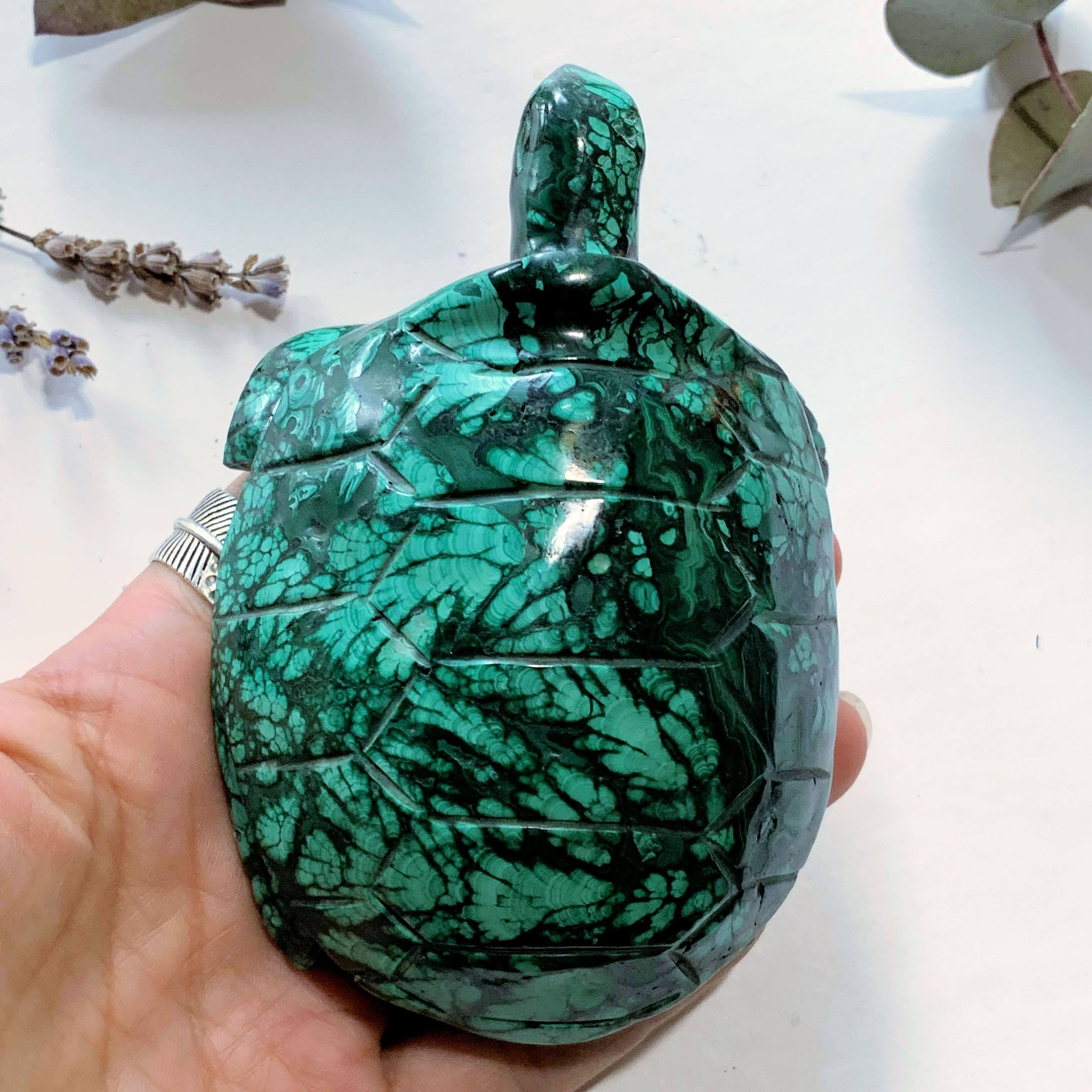 Fascinating Green Patterns Malachite Large Turtle Carving - Earth Family Crystals