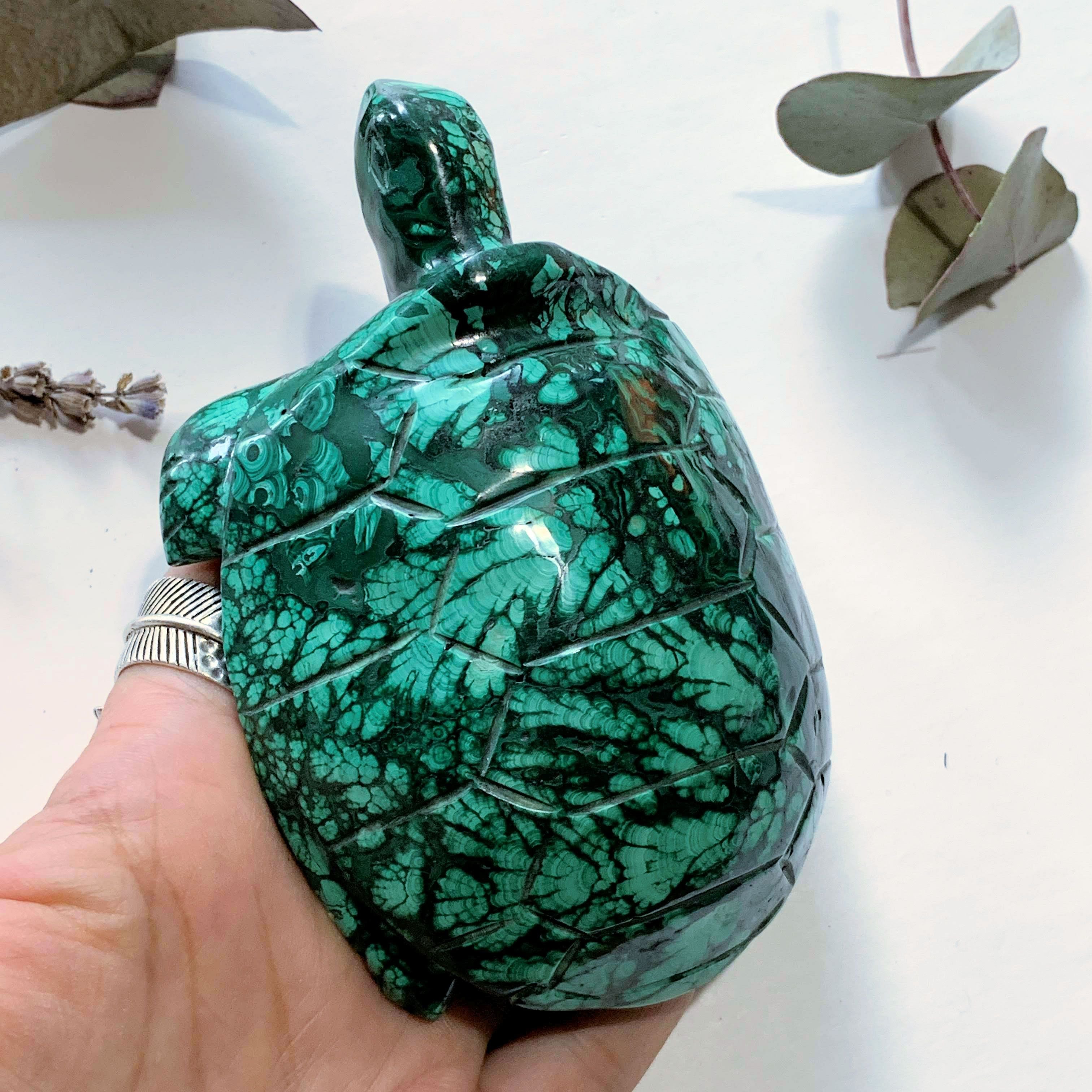 Fascinating Green Patterns Malachite Large Turtle Carving - Earth Family Crystals
