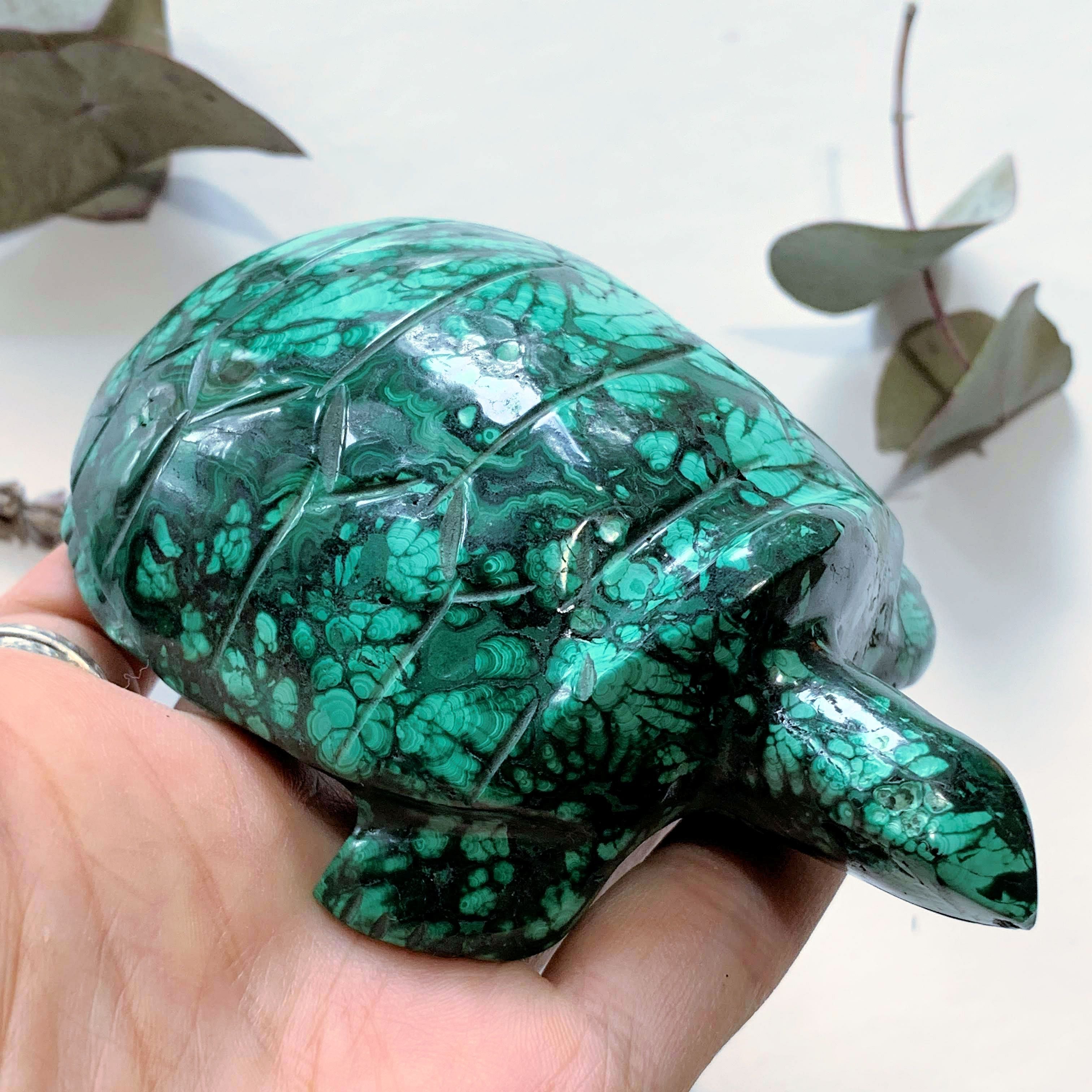 Fascinating Green Patterns Malachite Large Turtle Carving - Earth Family Crystals