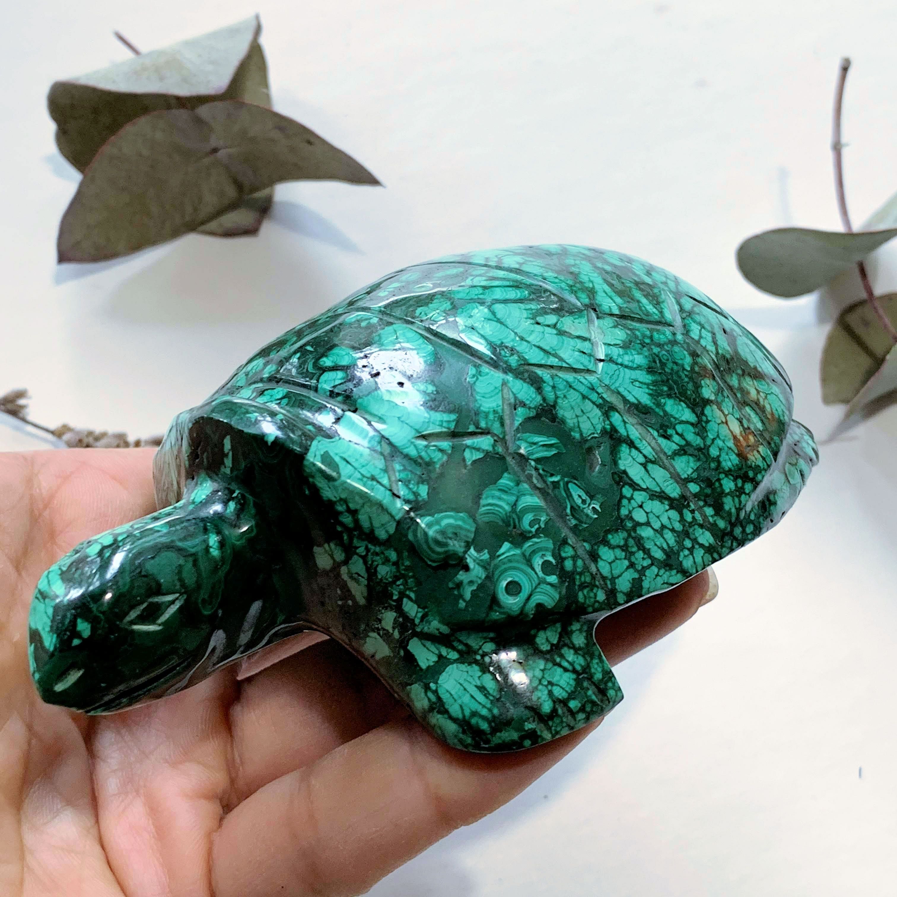 Fascinating Green Patterns Malachite Large Turtle Carving - Earth Family Crystals
