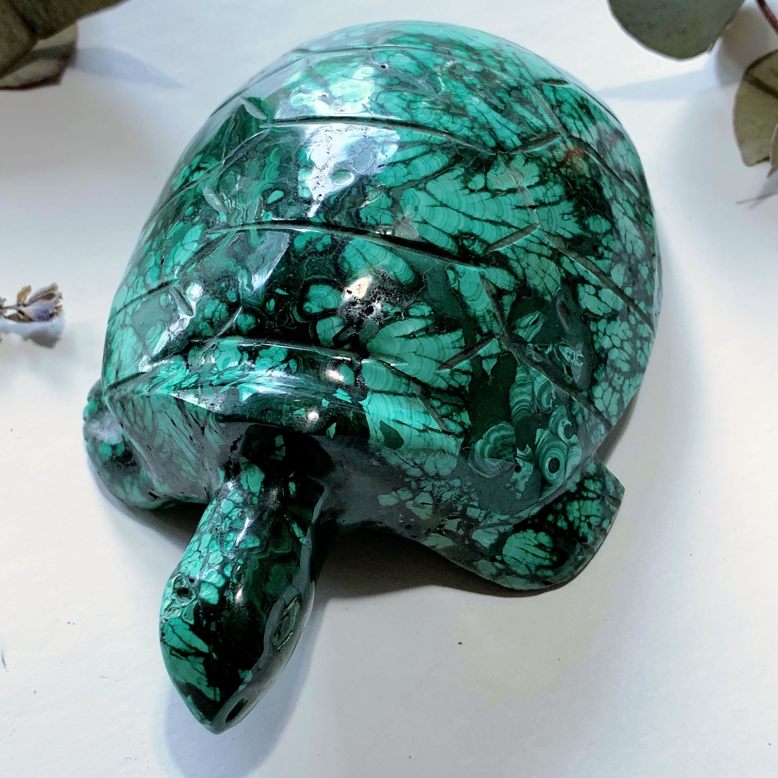 Fascinating Green Patterns Malachite Large Turtle Carving - Earth Family Crystals