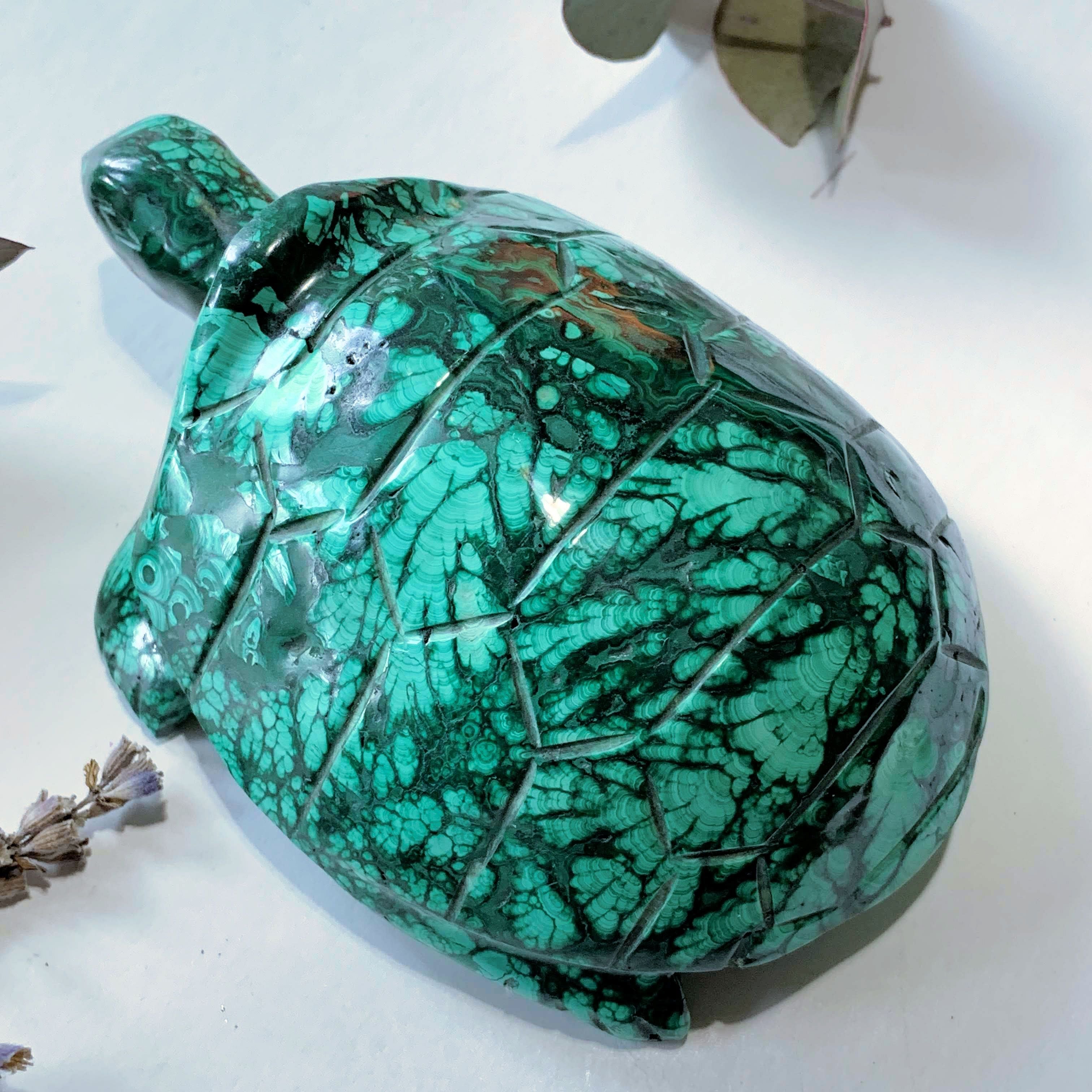 Fascinating Green Patterns Malachite Large Turtle Carving - Earth Family Crystals