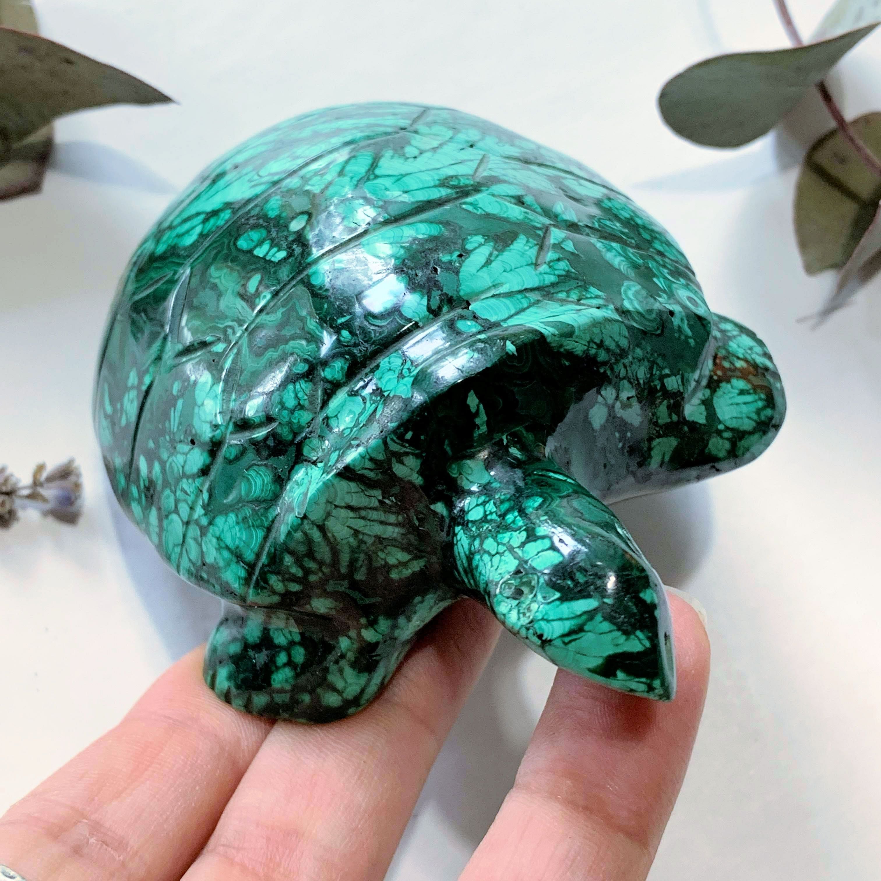 Fascinating Green Patterns Malachite Large Turtle Carving - Earth Family Crystals