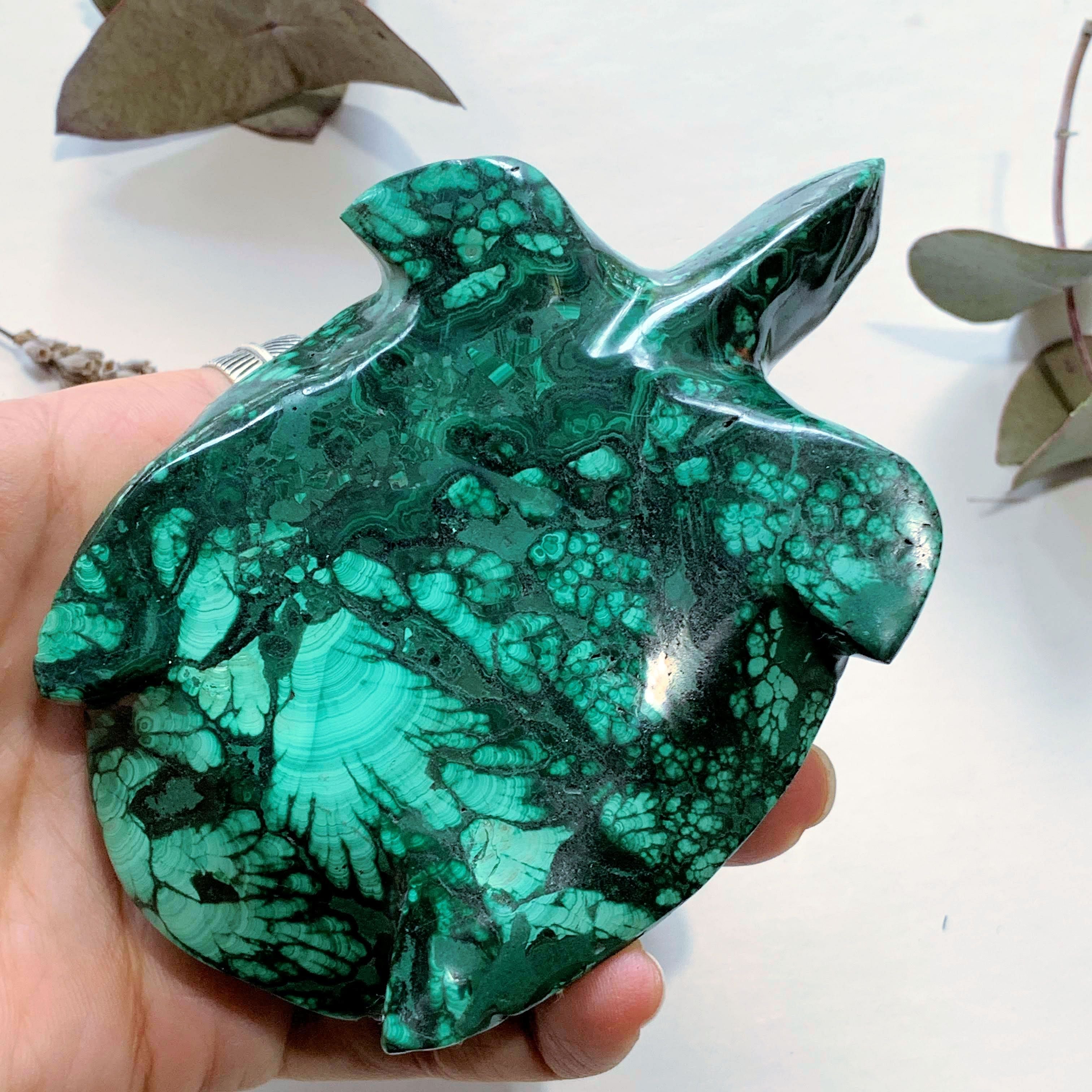 Fascinating Green Patterns Malachite Large Turtle Carving - Earth Family Crystals
