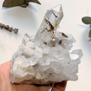 Gorgeous Golden Brookite & Clear Quartz Large Cluster ~Locality Brazil - Earth Family Crystals