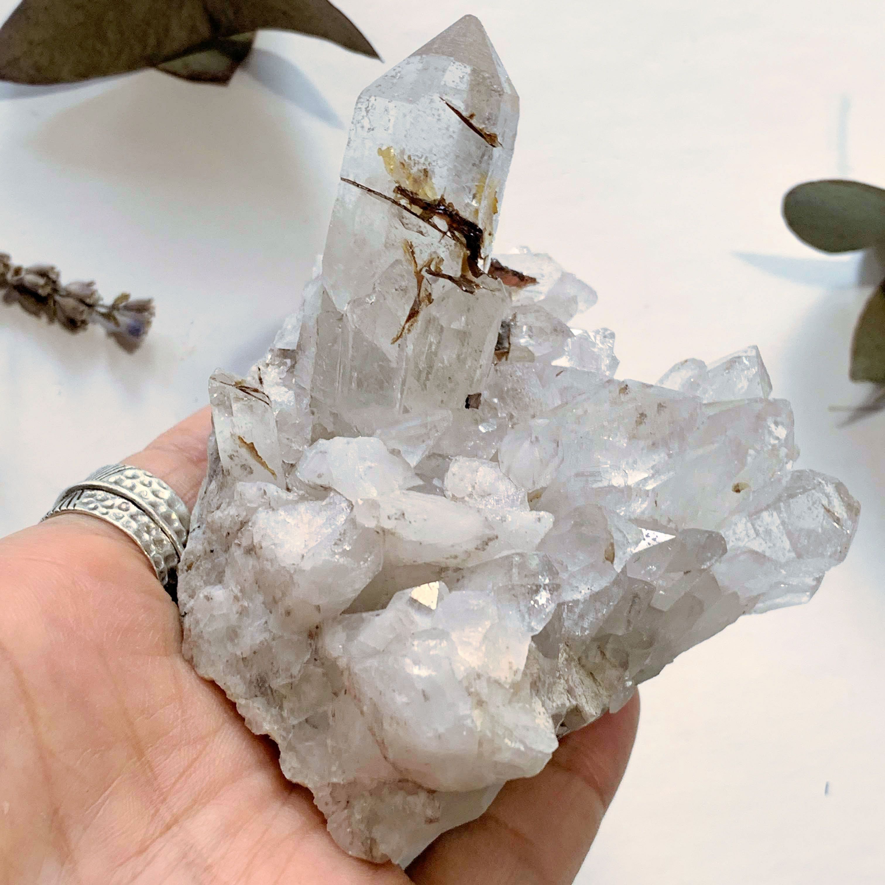 Gorgeous Golden Brookite & Clear Quartz Large Cluster ~Locality Brazil - Earth Family Crystals