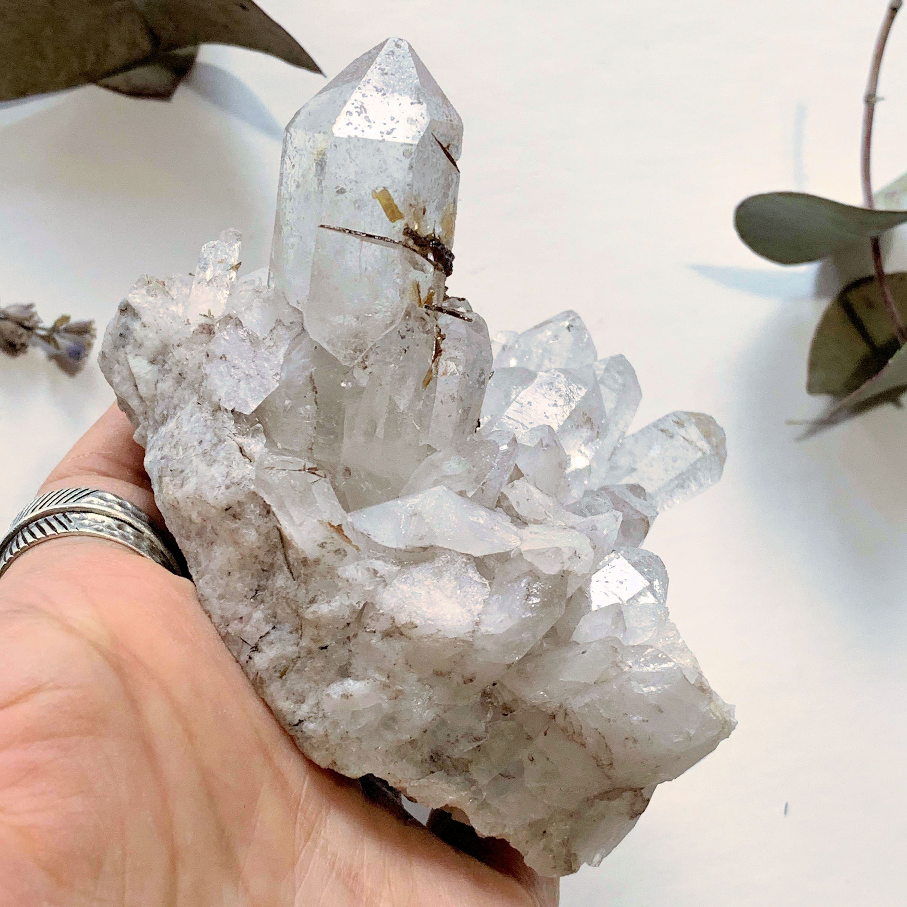 Gorgeous Golden Brookite & Clear Quartz Large Cluster ~Locality Brazil - Earth Family Crystals