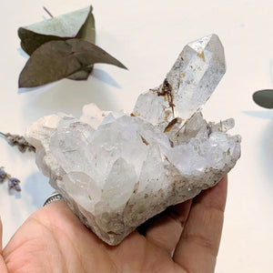 Gorgeous Golden Brookite & Clear Quartz Large Cluster ~Locality Brazil - Earth Family Crystals