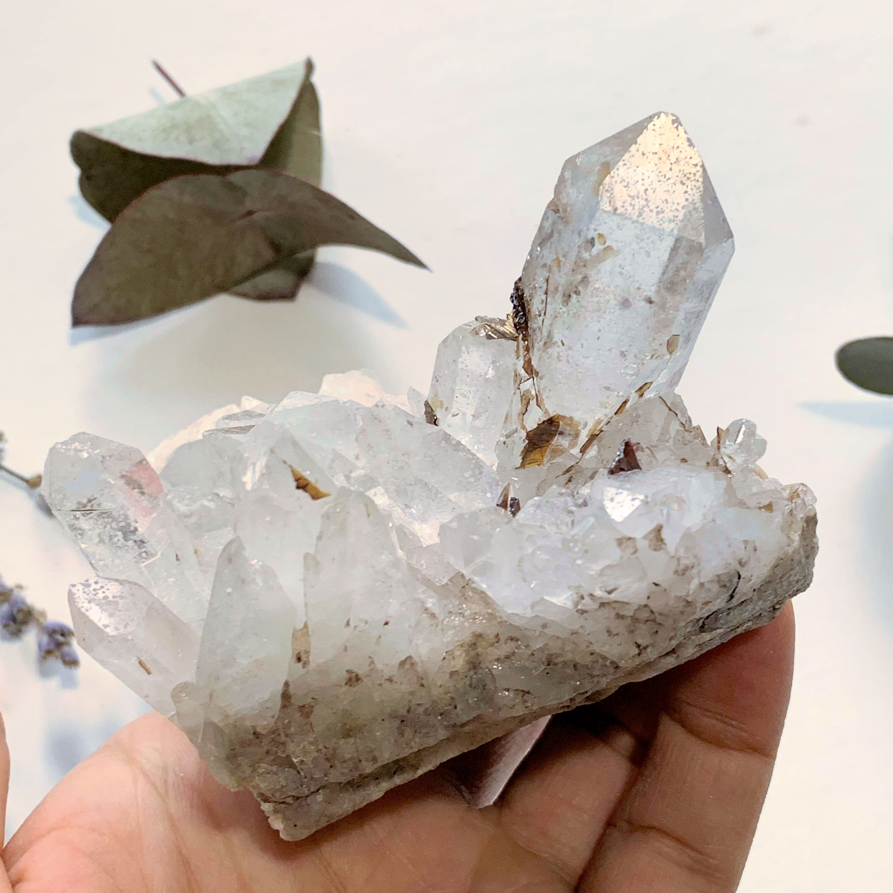 Gorgeous Golden Brookite & Clear Quartz Large Cluster ~Locality Brazil - Earth Family Crystals