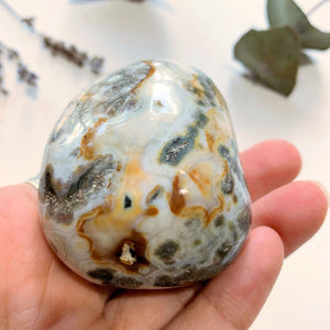 Unique Patterns Ocean Jasper Polished Specimen~Locality Madagascar - Earth Family Crystals