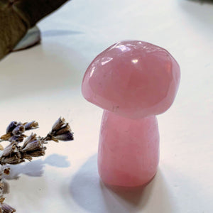 Sweet Pink Rose Quartz Mushroom Standing Display Carving - Earth Family Crystals