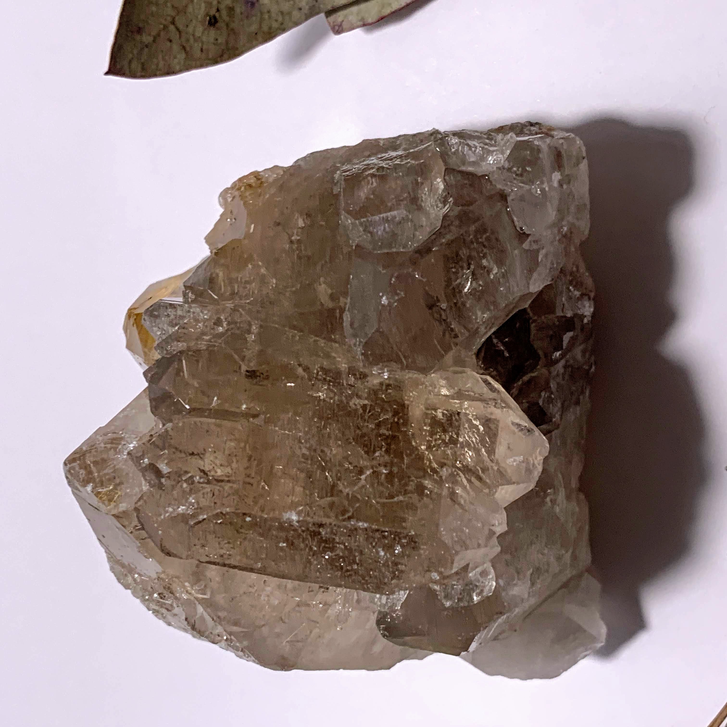 Incredible Golden Rutilated Elestial Smoky Quartz Large Cluster ~Locality  Brazil - Earth Family Crystals