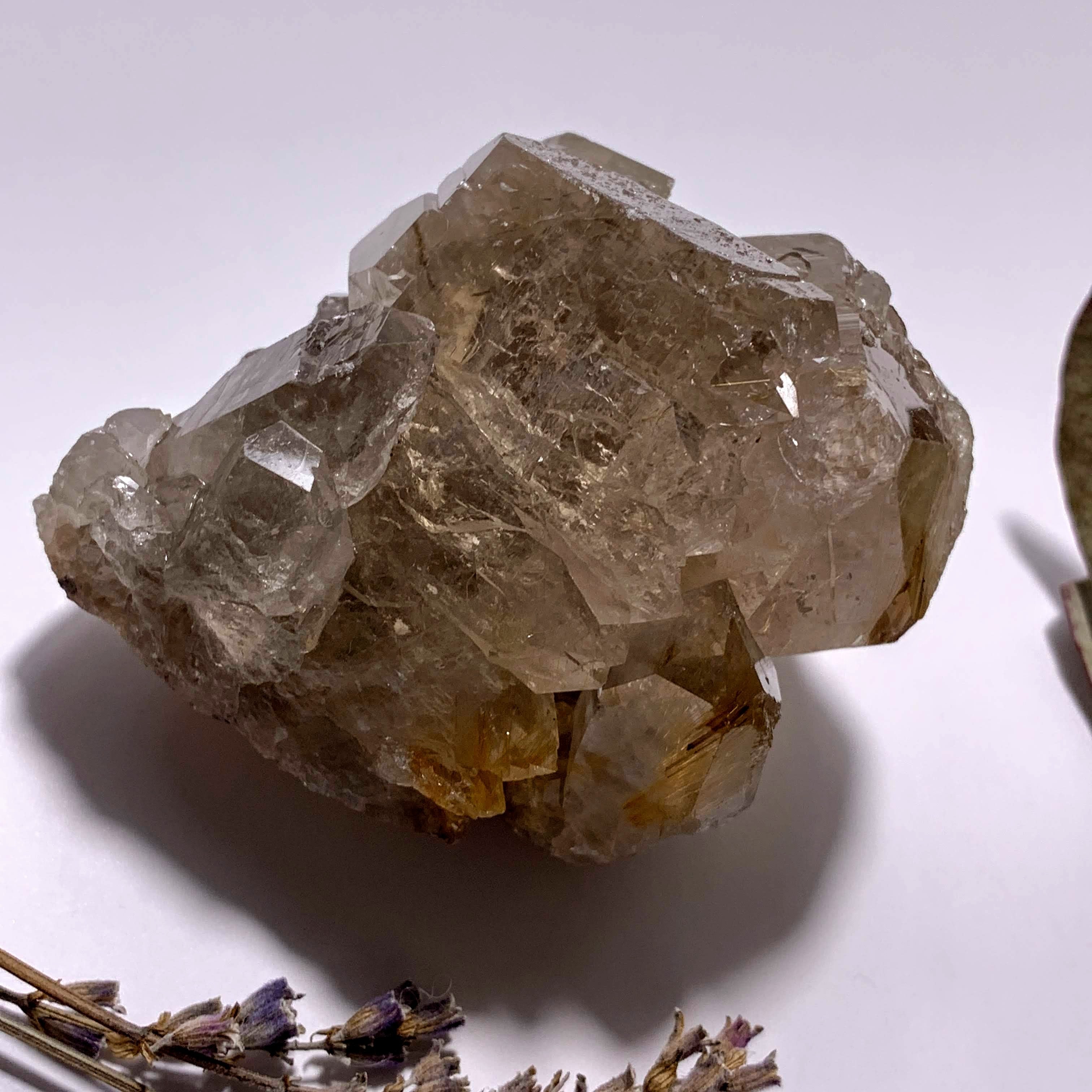 Incredible Golden Rutilated Elestial Smoky Quartz Large Cluster ~Locality  Brazil - Earth Family Crystals