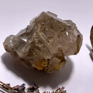 Incredible Golden Rutilated Elestial Smoky Quartz Large Cluster ~Locality  Brazil - Earth Family Crystals