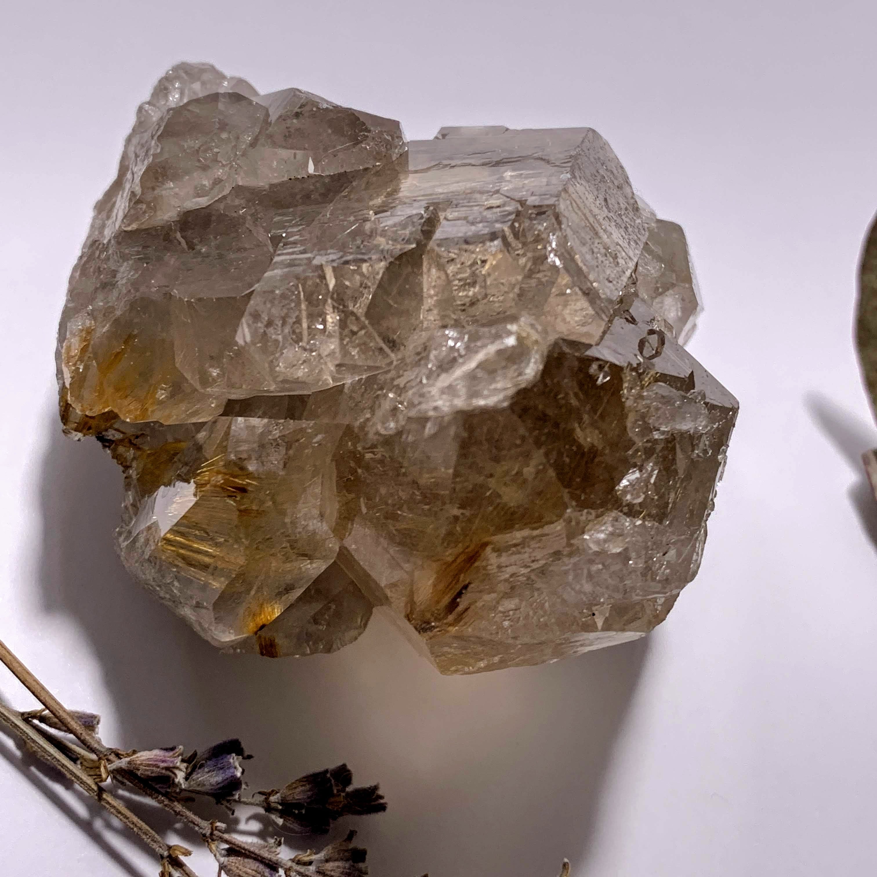 Incredible Golden Rutilated Elestial Smoky Quartz Large Cluster ~Locality  Brazil - Earth Family Crystals