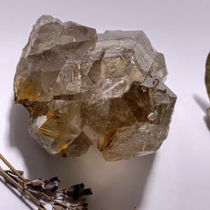 Incredible Golden Rutilated Elestial Smoky Quartz Large Cluster ~Locality  Brazil - Earth Family Crystals