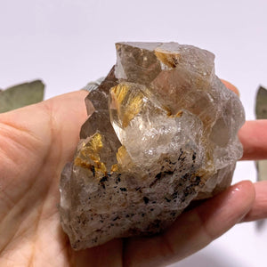 Incredible Golden Rutilated Elestial Smoky Quartz Large Cluster ~Locality  Brazil - Earth Family Crystals