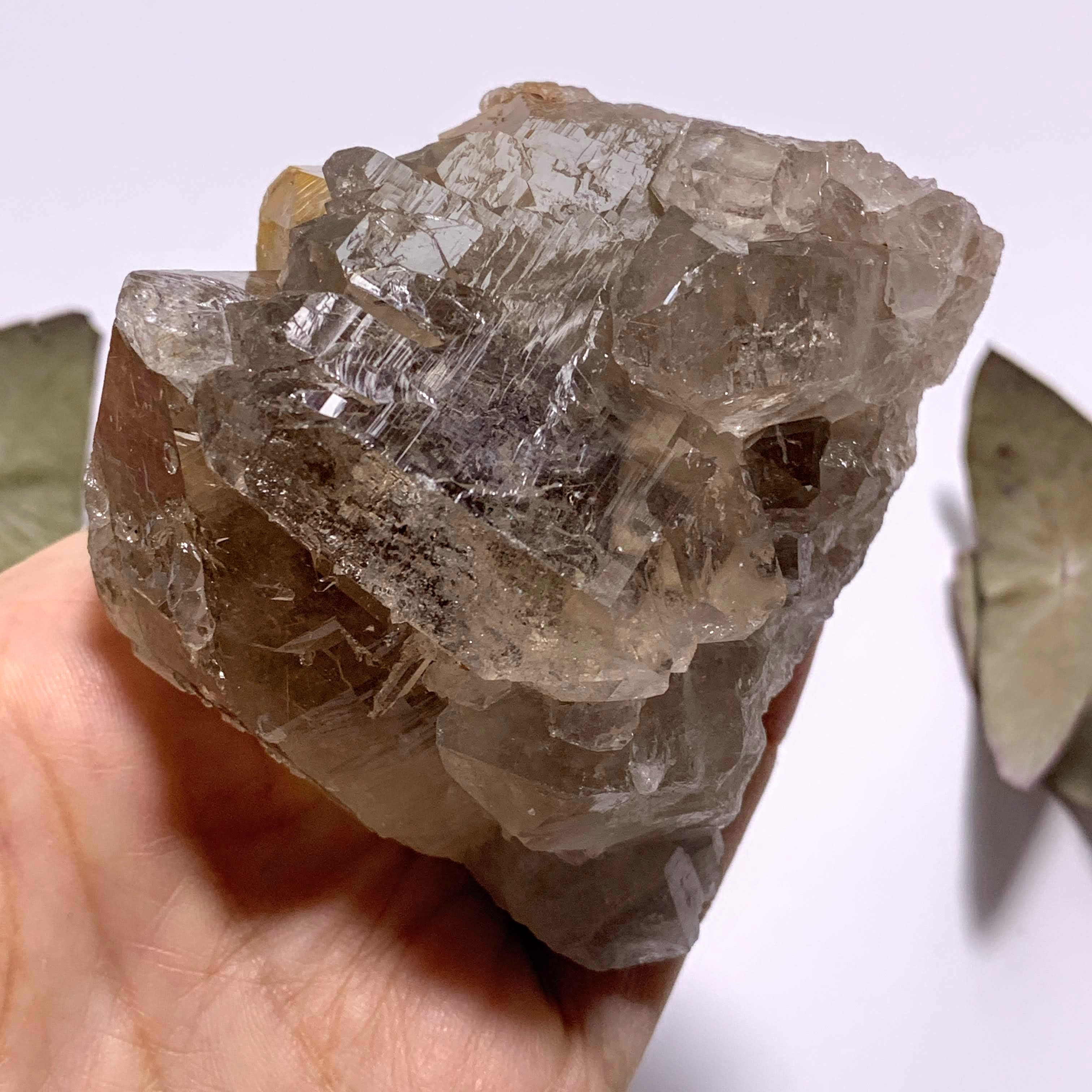 Incredible Golden Rutilated Elestial Smoky Quartz Large Cluster ~Locality  Brazil - Earth Family Crystals