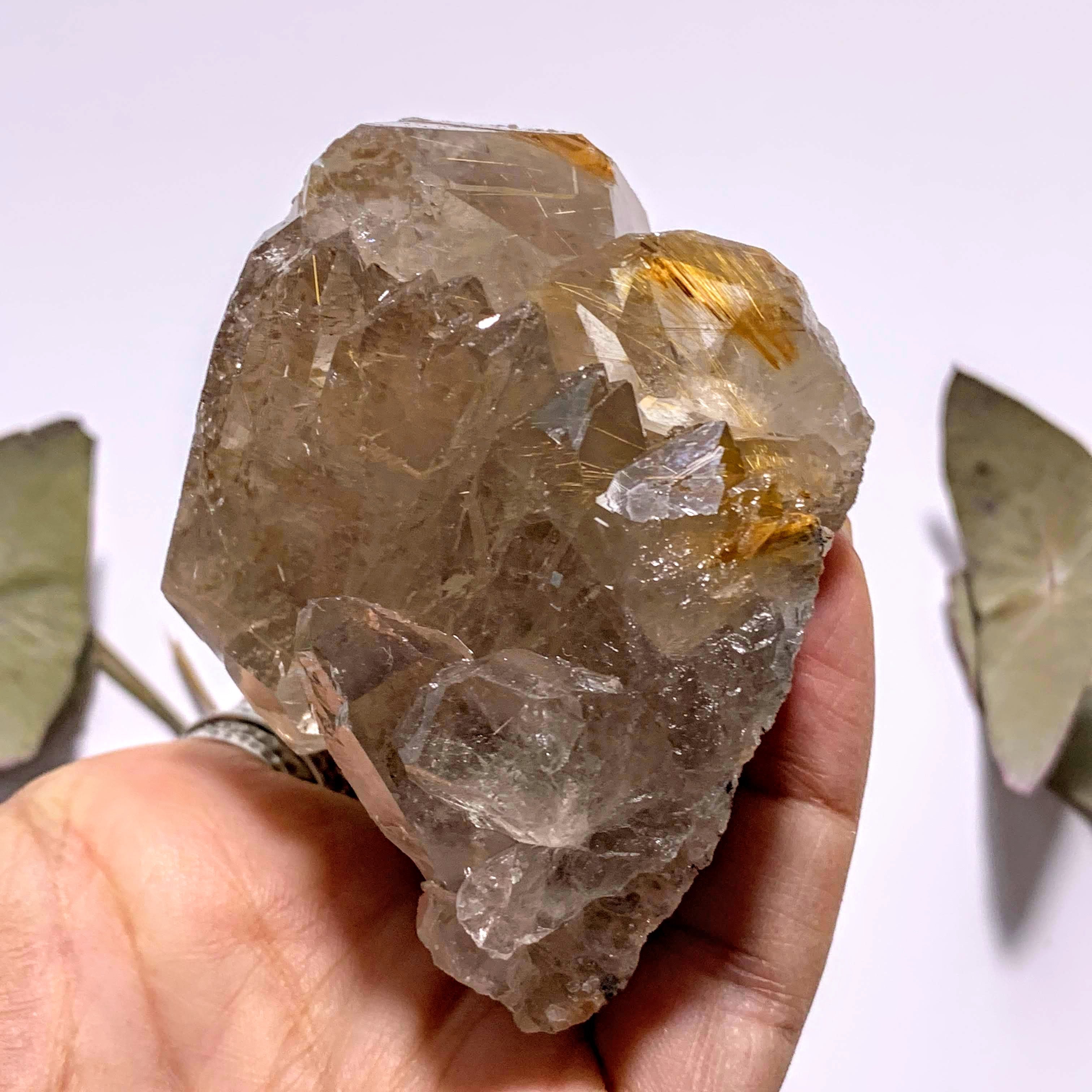 Incredible Golden Rutilated Elestial Smoky Quartz Large Cluster ~Locality  Brazil - Earth Family Crystals