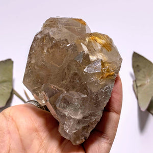 Incredible Golden Rutilated Elestial Smoky Quartz Large Cluster ~Locality  Brazil - Earth Family Crystals