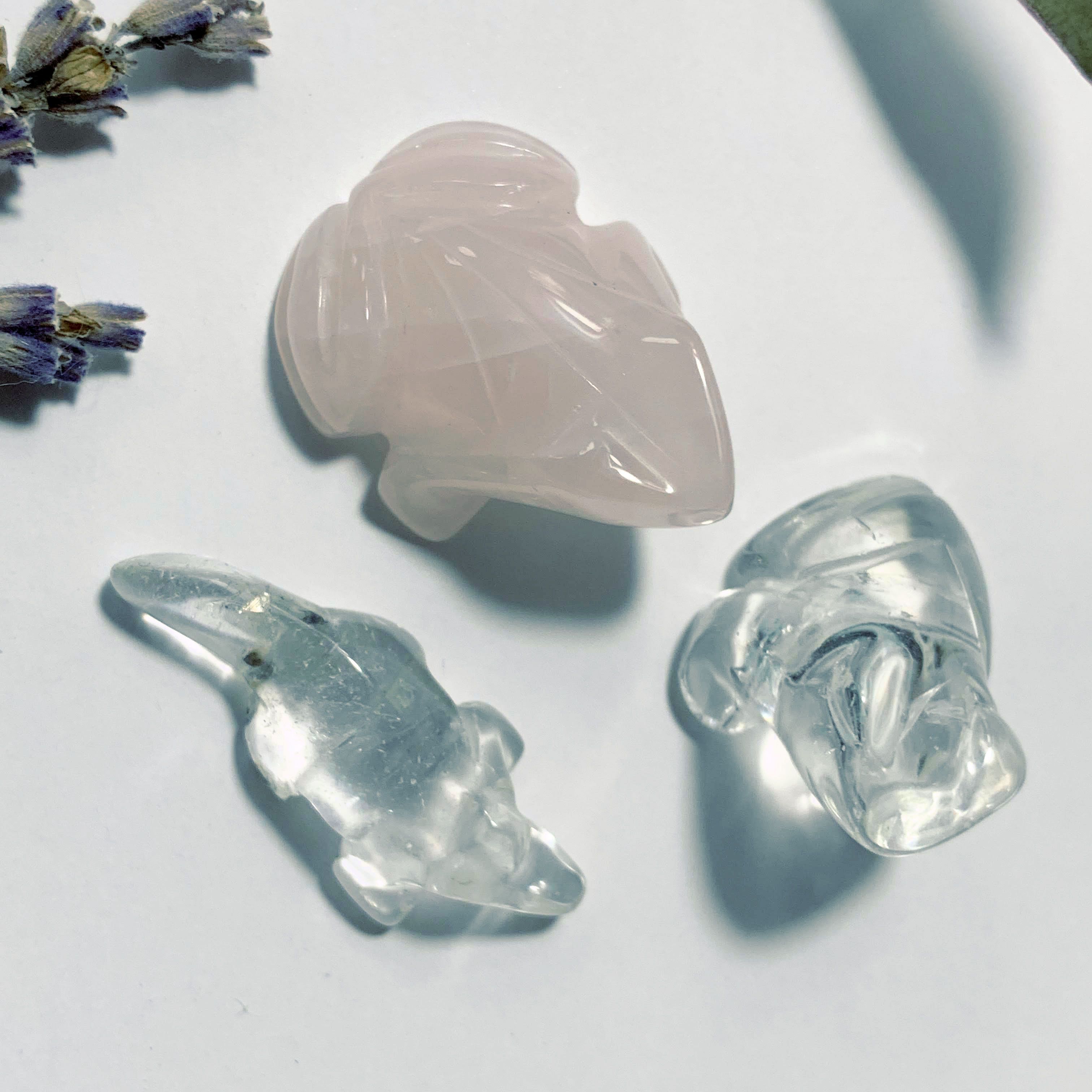 Cute Rose Quartz Frog, Clear Quartz Frog & Crocodile Small Display Carvings - Earth Family Crystals