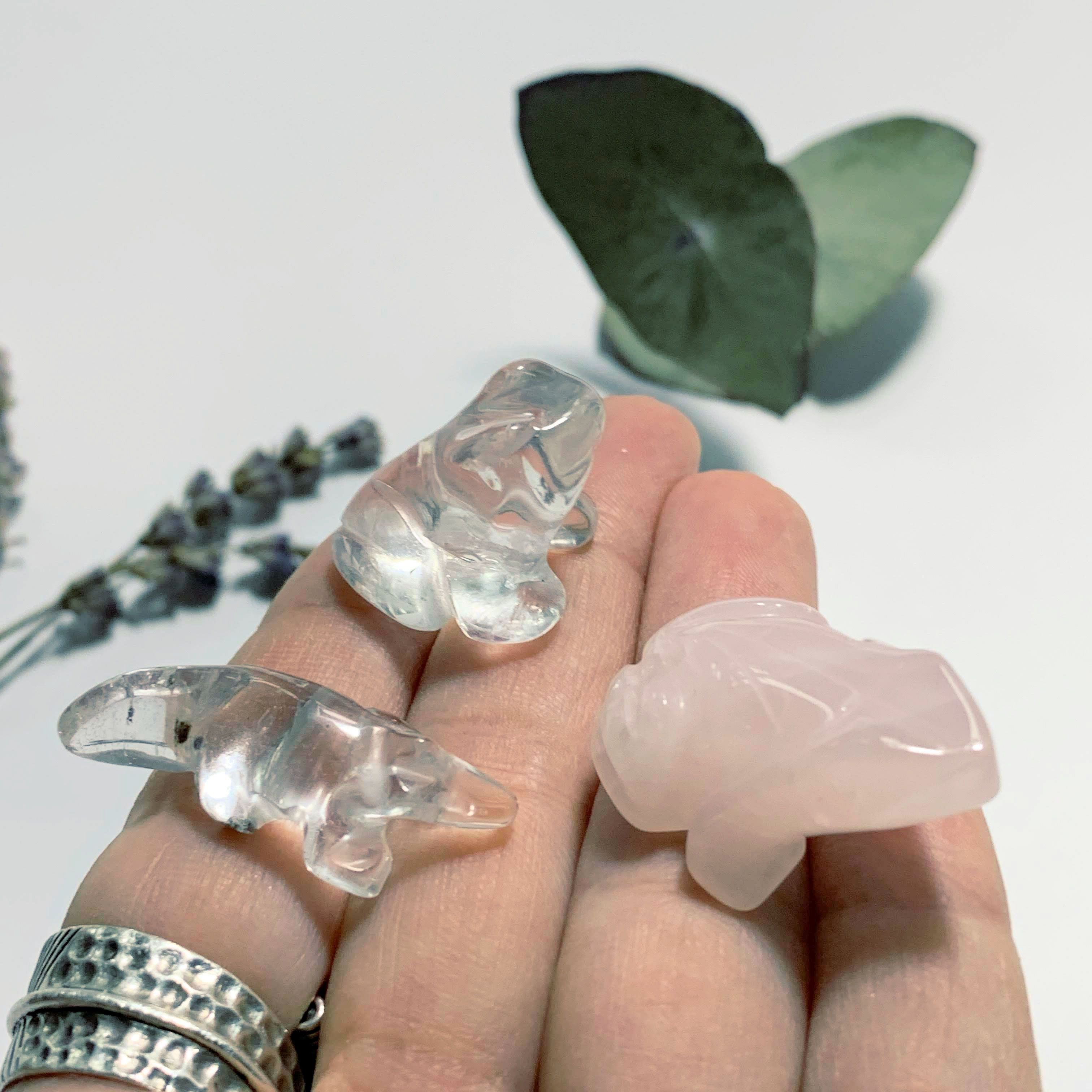 Cute Rose Quartz Frog, Clear Quartz Frog & Crocodile Small Display Carvings - Earth Family Crystals