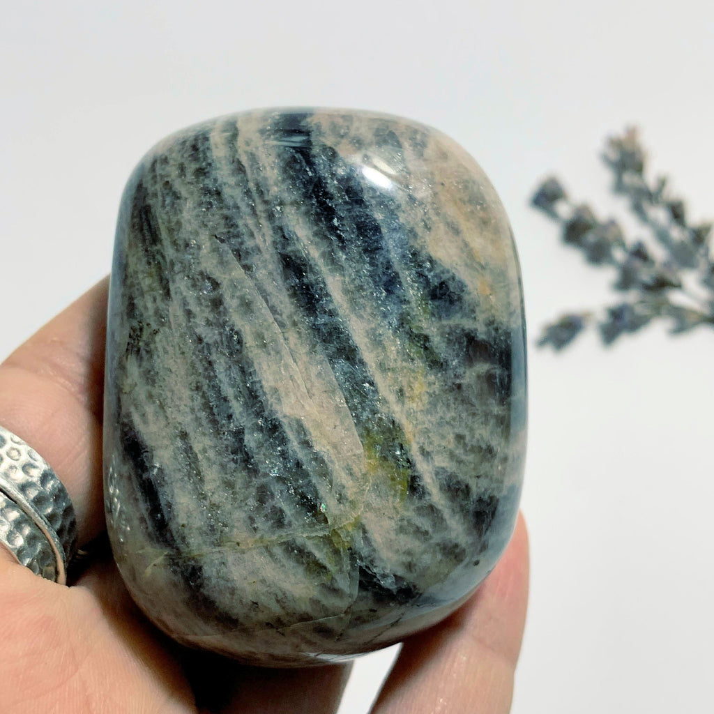 Black Moonstone Hand Held Specimen~Locality Madagascar - Earth Family Crystals