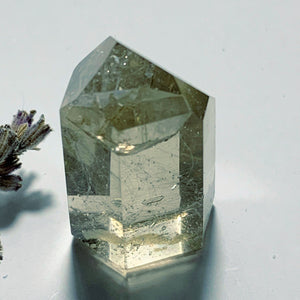 Inner Child Penetrator Points Smoky Rutilated Quartz Small Tower~Locality Brazil