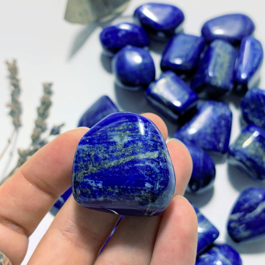 One High Quality Cobalt Blue Lapis Lazuli Tumbled Stone - Earth Family Crystals