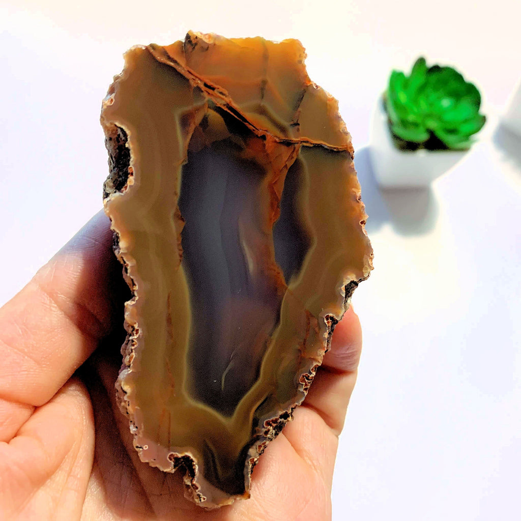 Condor Agate Partially Polished  Specimen From San Rafael, Argentina - Earth Family Crystals