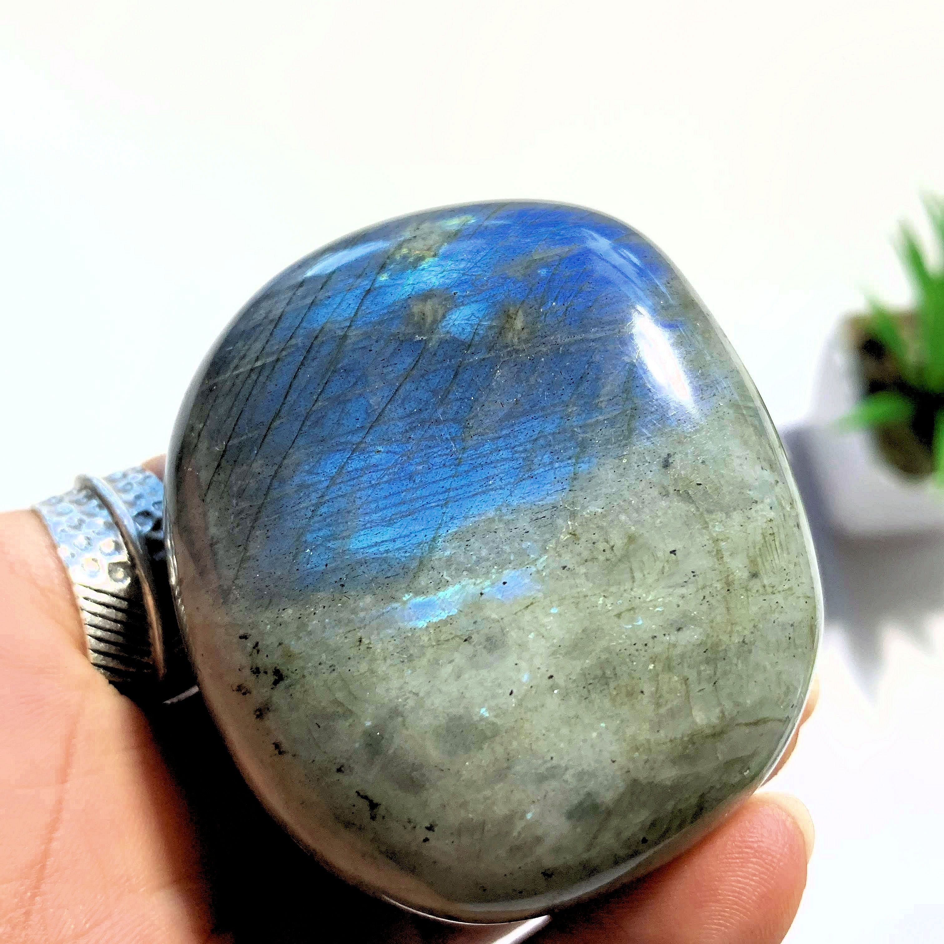 Pretty Blue Flashes Labradorite Palm Stone From Madagascar