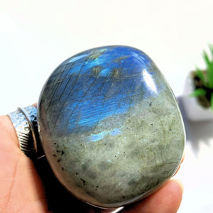 Pretty Blue Flashes Labradorite Palm Stone From Madagascar