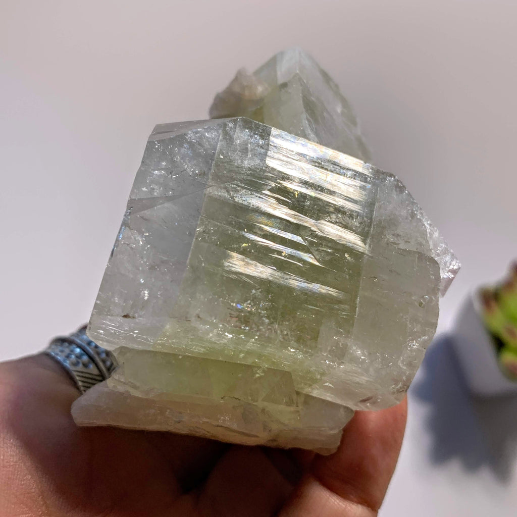 Brilliant Large Green Apophyllite & Stilbite Cluster ~Locality India - Earth Family Crystals