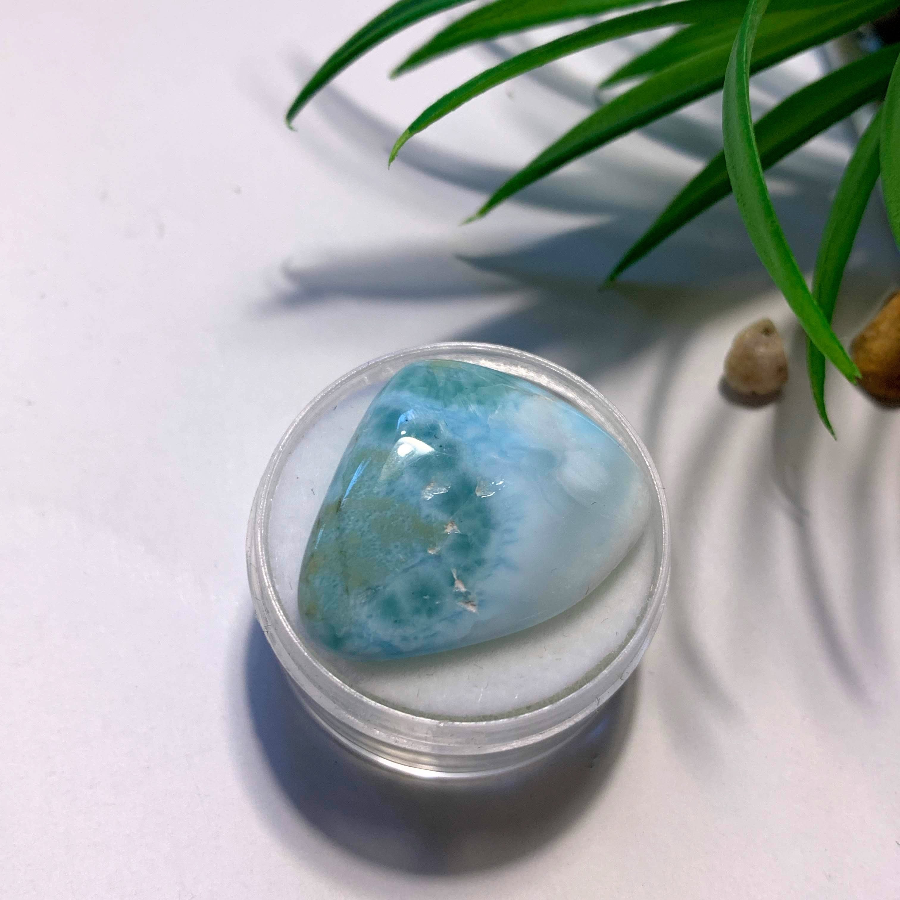 Pretty Polished Larimar Free Form in Collectors Box~Locality Dominican Republic #2 - Earth Family Crystals