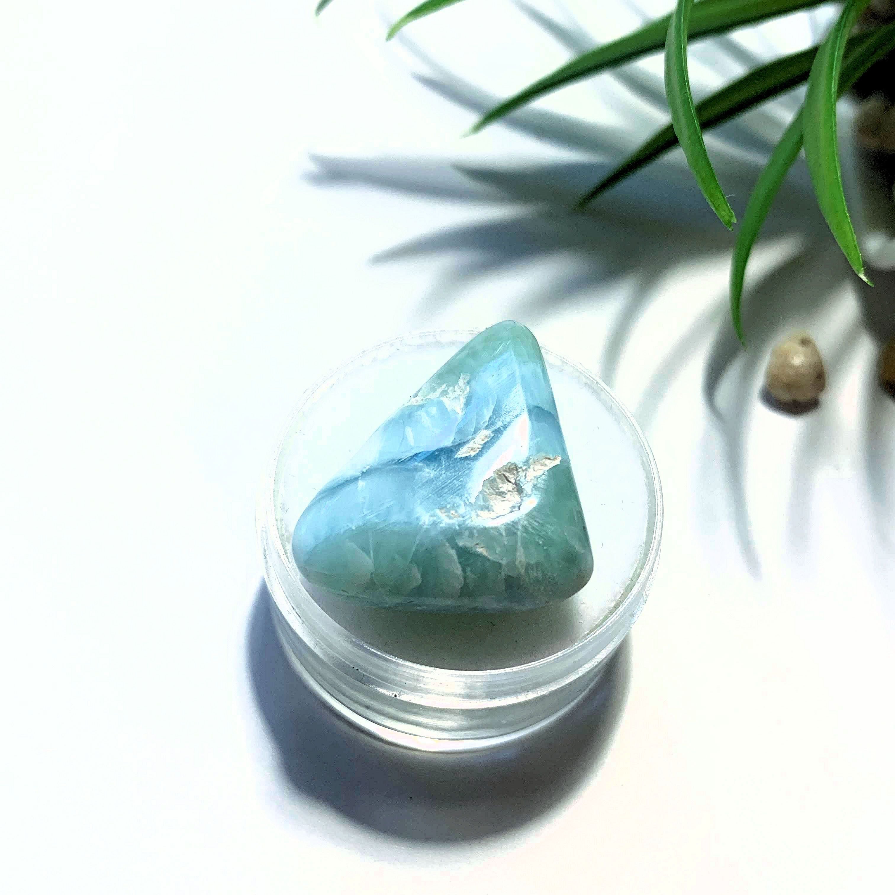 Pretty Polished Larimar Free Form in Collectors Box~Locality Dominican Republic #3 - Earth Family Crystals