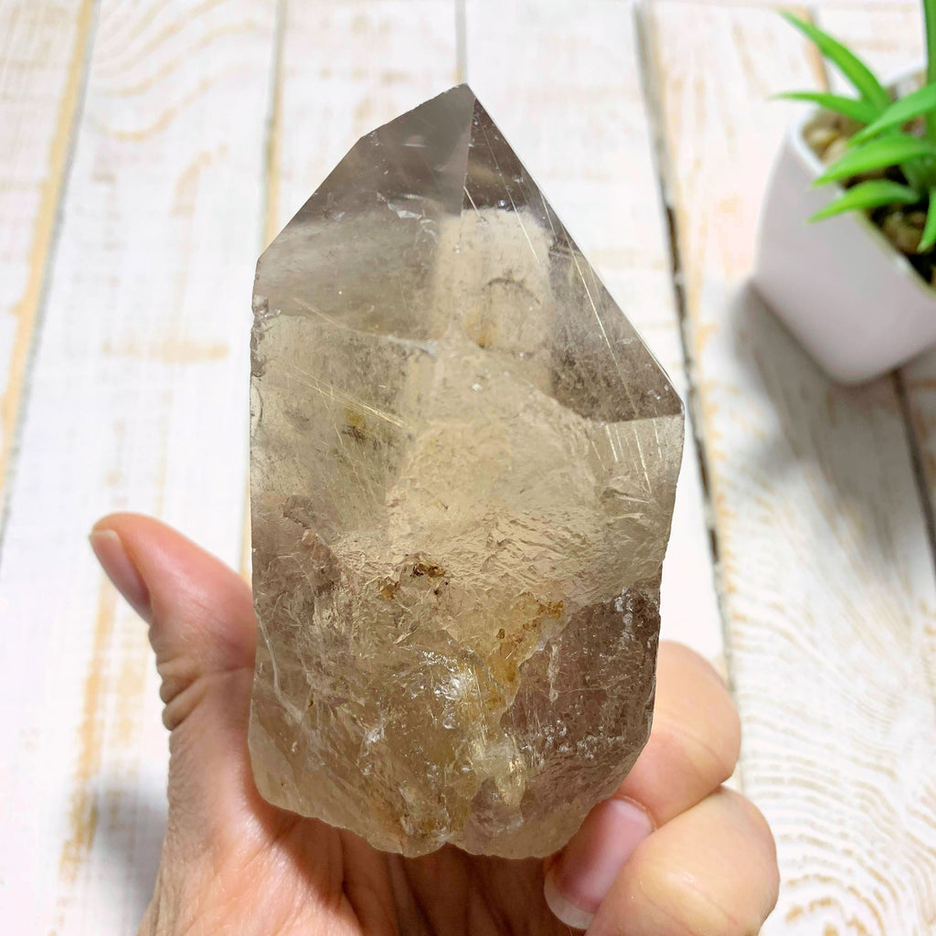 Completely Natural Rutilated Smoky Quartz Point Specimen~Locality Brazil - Earth Family Crystals