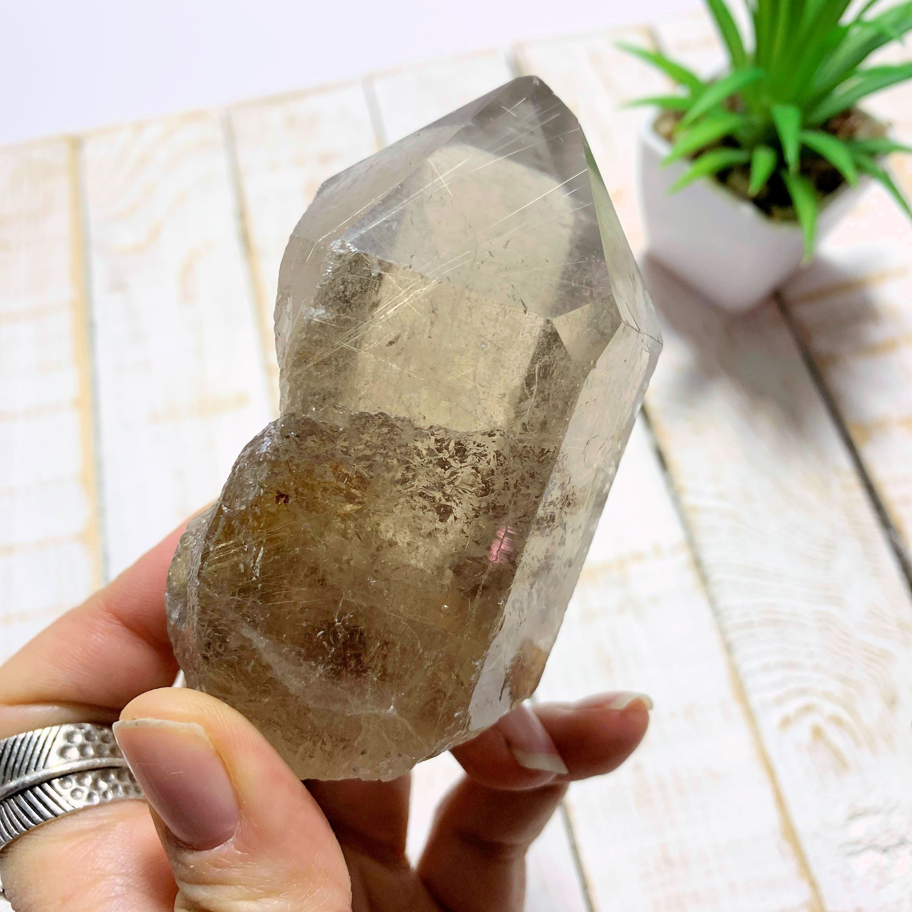 Completely Natural Rutilated Smoky Quartz Point Specimen~Locality Brazil - Earth Family Crystals
