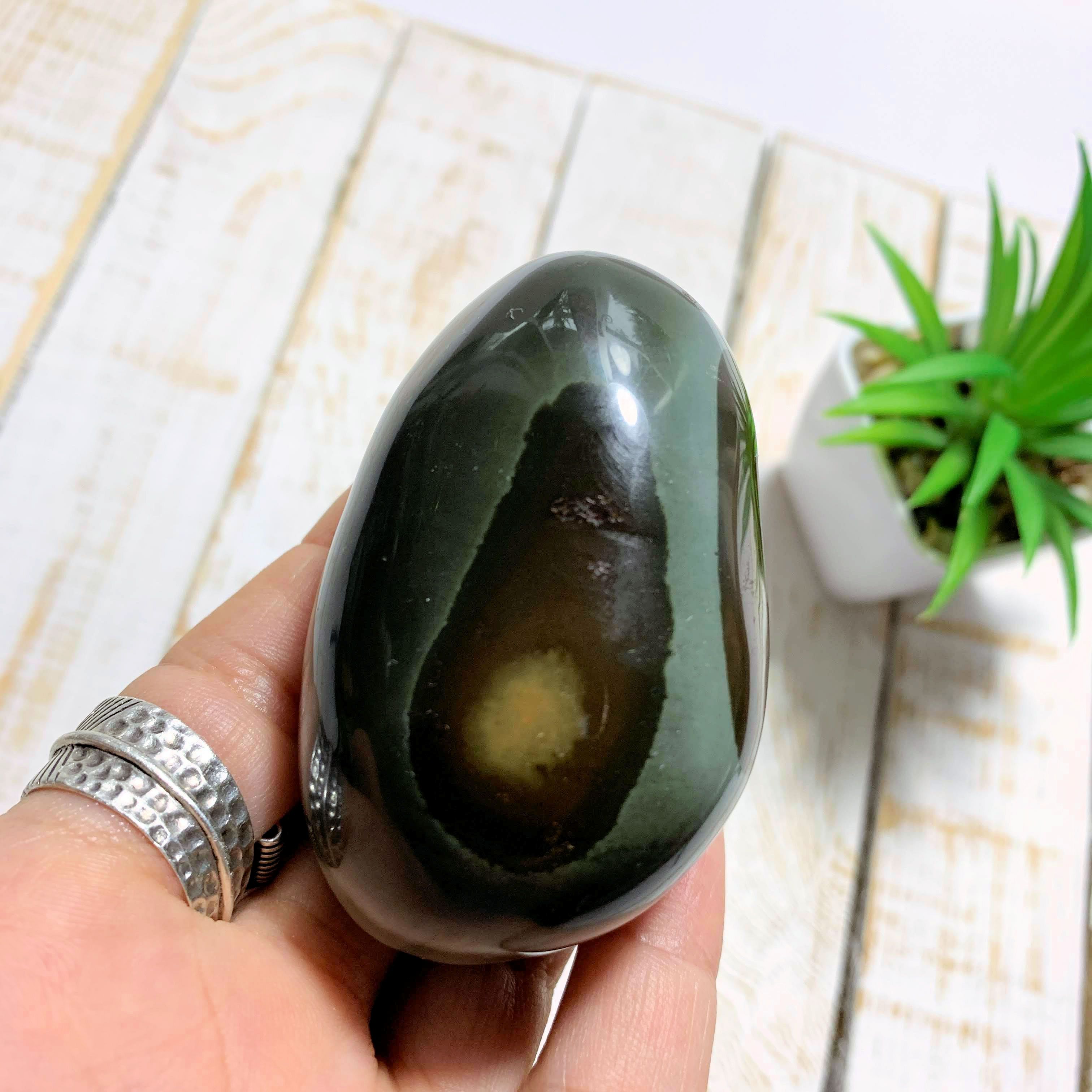 Chocolate Brown Polychrome Jasper Palm Stone From Madagascar - Earth Family Crystals