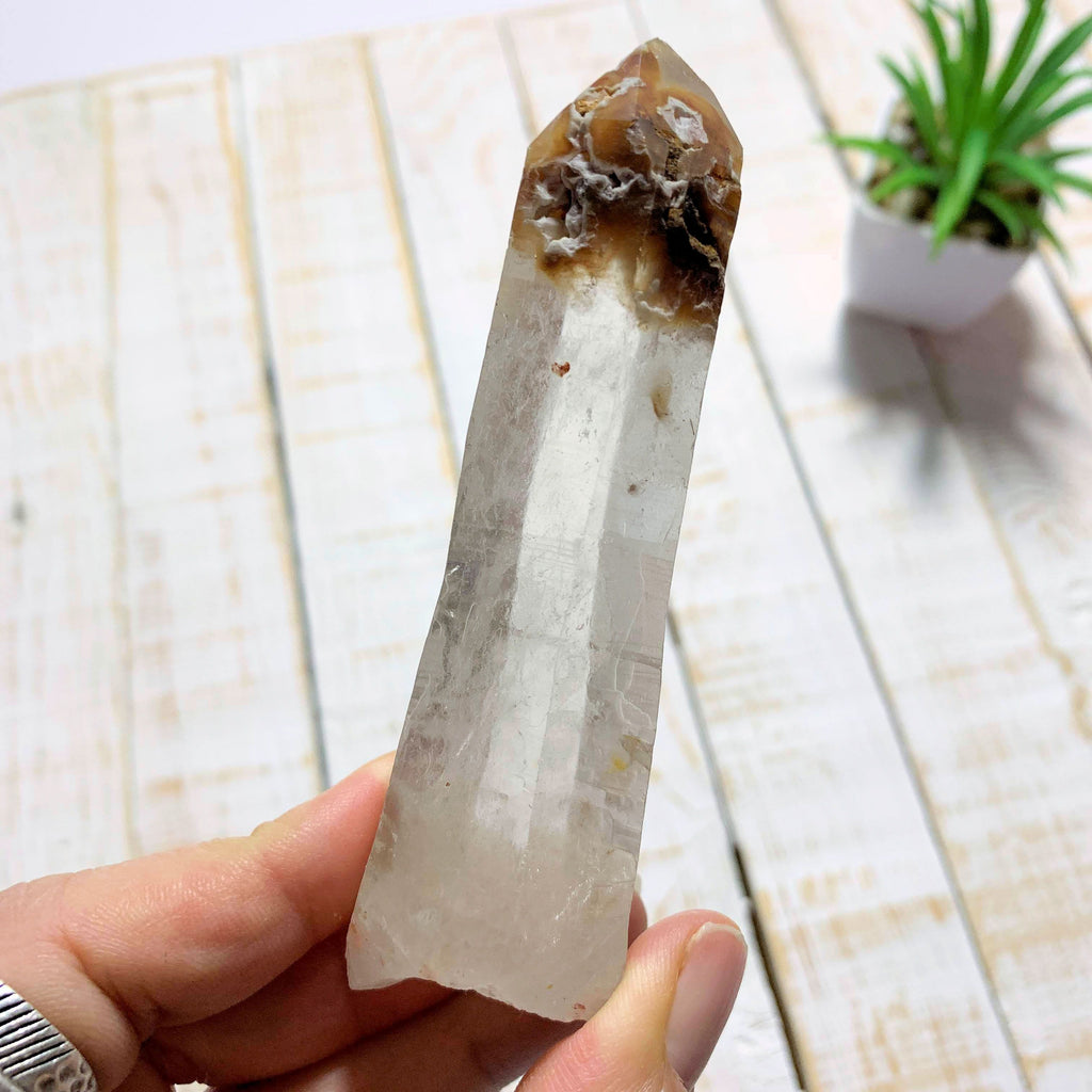 Angel Phantom Quartz Point From Brazil - Earth Family Crystals