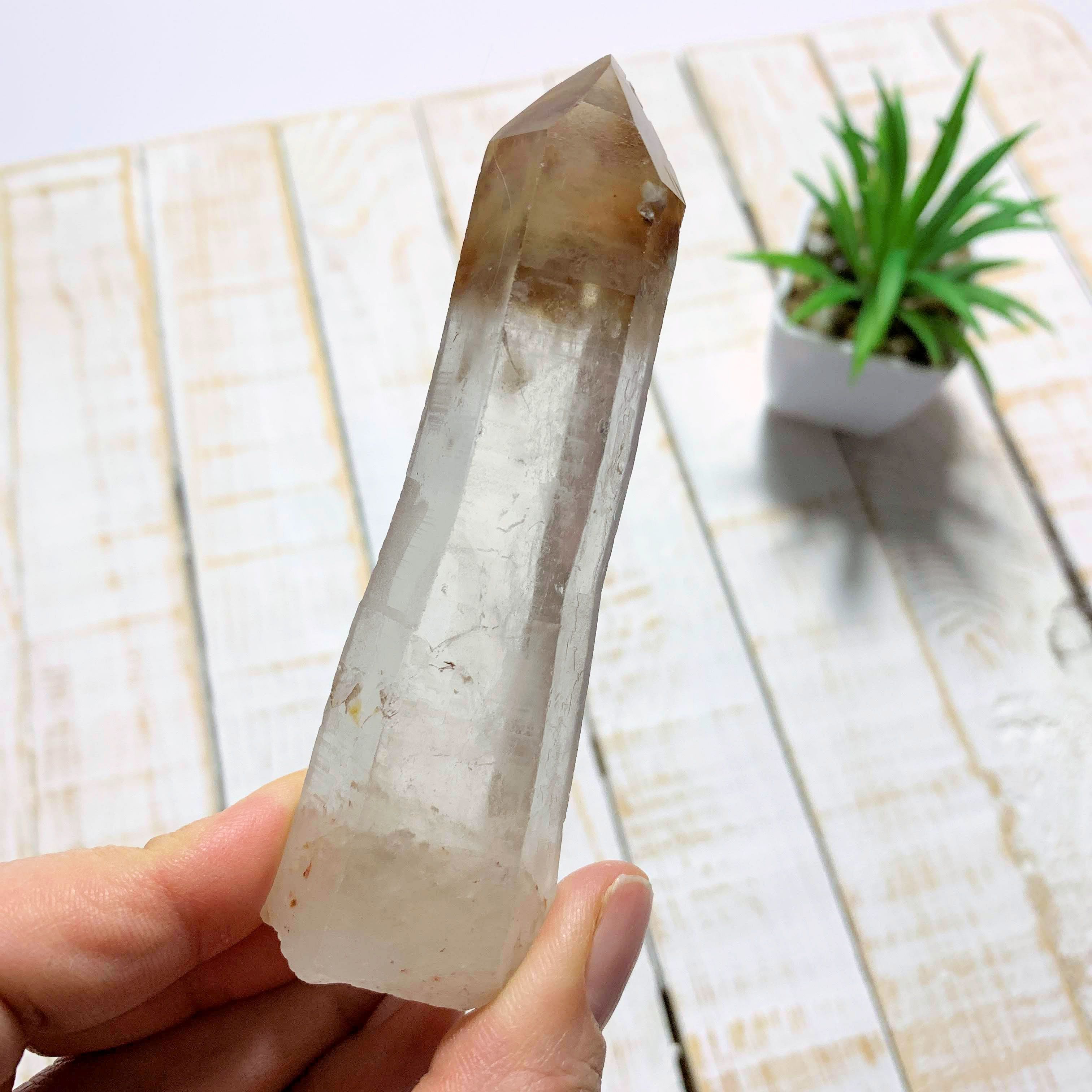 Angel Phantom Quartz Point From Brazil - Earth Family Crystals